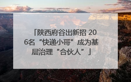 陕西府谷出新招 206名“快递小哥”成为基层治理“合伙人”